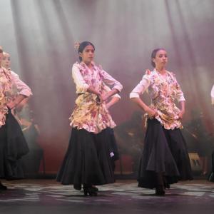 Fotografía de Talleres Danza Española (galería 2) - Conservatorio de Danza